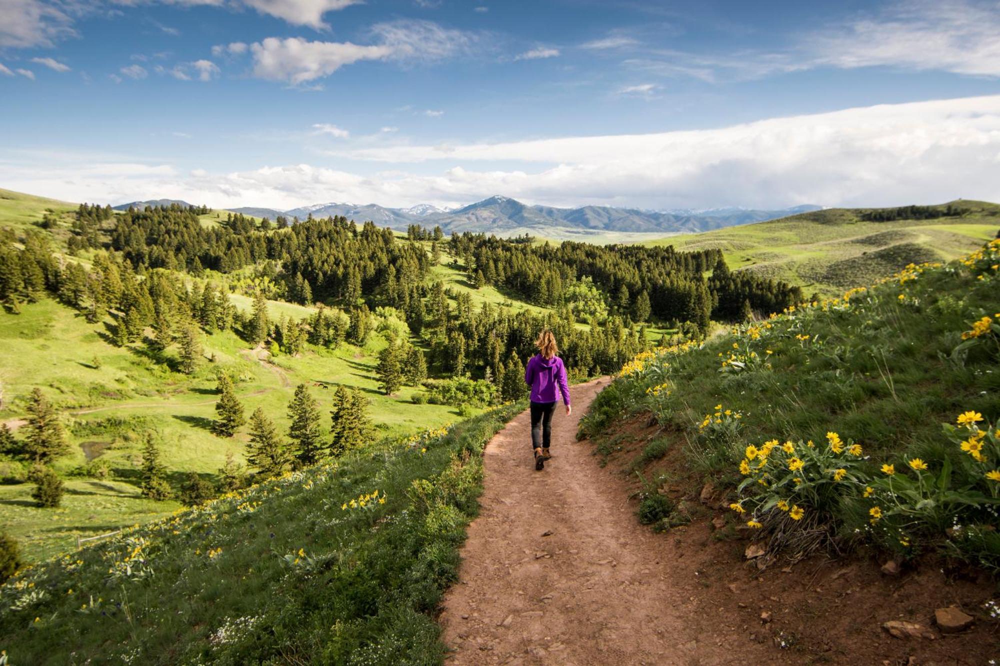 Even Hotel Bozeman Yellowstone Intl Arpt By Ihg Belgrade Esterno foto
